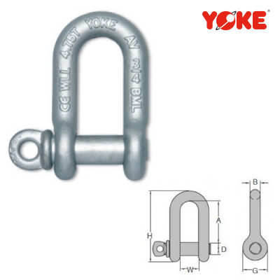 D Shackle With Screw Pin YOKE 8-834 (G-210 DW)