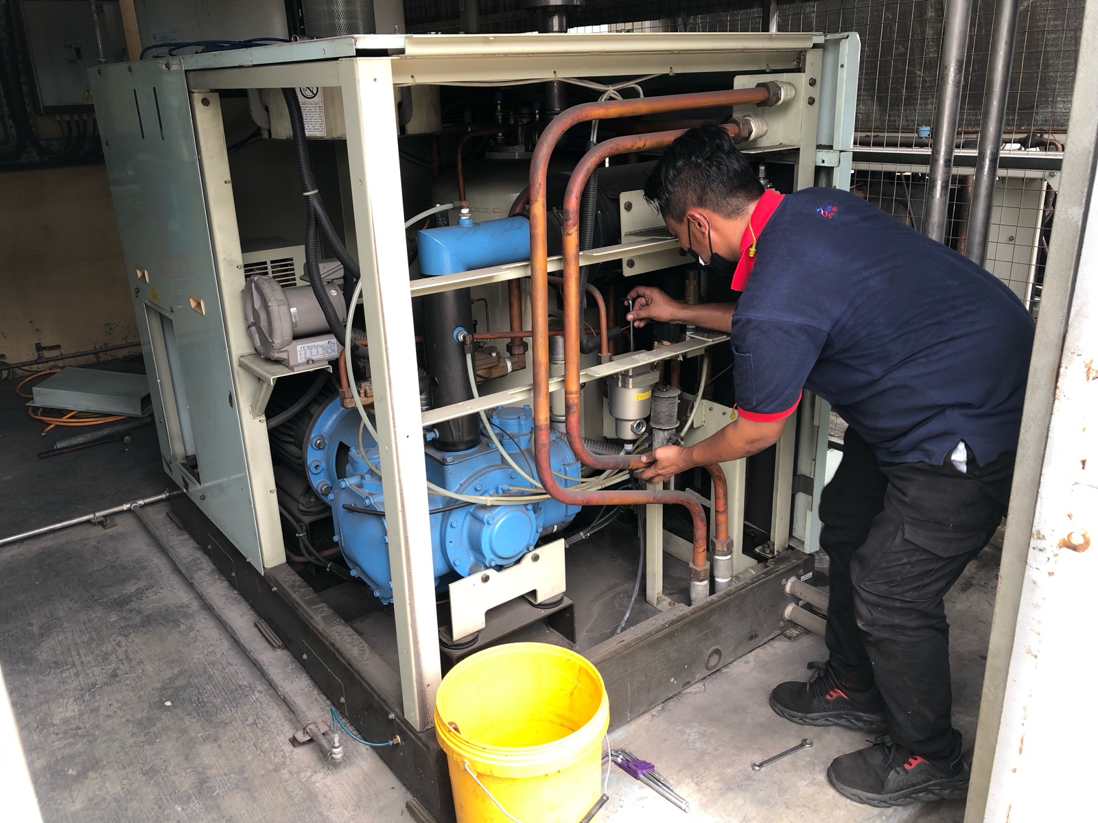 Service Oil Free Air Compressor 