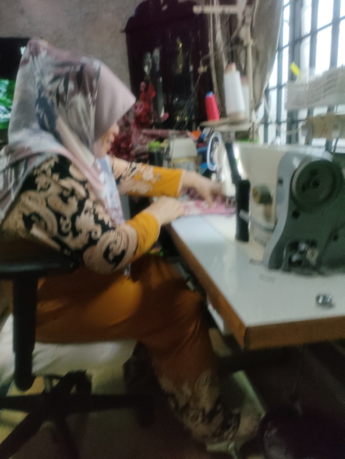 SEVIS SEWING MACHINE
