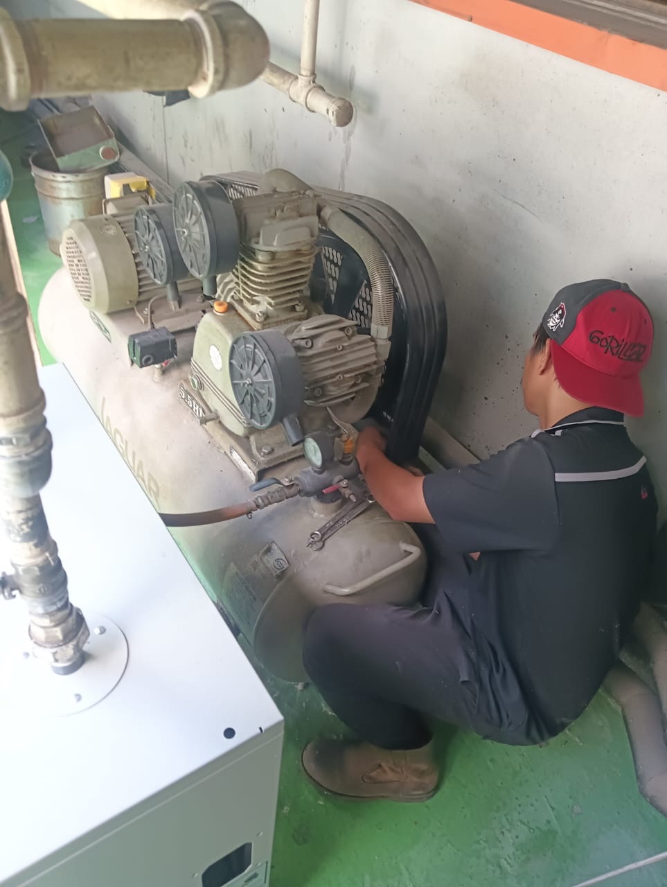 Replacement Jaguar Compressor V-Belt 