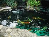 POOL~  