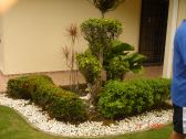 GARDENING/LANDSCAPE DESIGN @ ˇ   