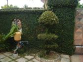 GARDENING/LANDSCAPE DESIGN @ ˇ   