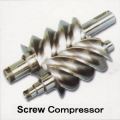 Screw Compressor