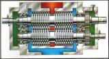 Screw Pump