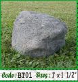BT01