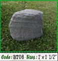 BT08