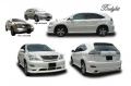 TOYOTA HARRIER BODYKIT W