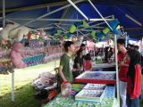 School Carnival