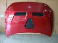 PROTON INSPIRA HOOD EVO 
