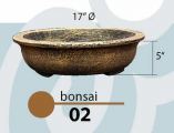 Bonsai 02