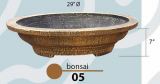 Bonsai 05