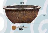 Bonsai 06