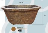 Bonsai 08