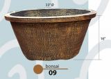 Bonsai 09