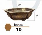 Bonsai 10