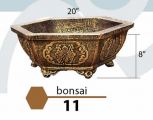 Bonsai 11