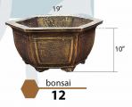 Bonsai 12