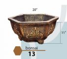 Bonsai 13