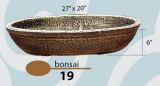 Bonsai 19