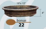 Bonsai 22