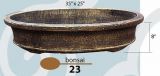 Bonsai 23