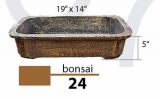 Bonsai 24