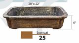 Bonsai 25