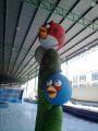 angry bird