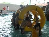 water park