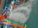water park