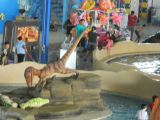 water park