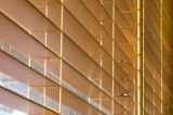 Timber Blind