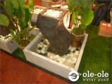 P1.Water Ponds Design Malaysia.Kolam Ikan.Hiasan.Johor.Fengshui.Home Deco.ˮ.԰..Water Feature