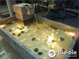P22XL.Water Ponds Design Malaysia.Kolam Ikan.Hiasan.Johor.Fengshui.Home Deco.��ˮ��.԰��.���.Water Feature
