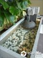 P22BL.Water Ponds Design Malaysia.Kolam Ikan.Hiasan.Johor.Fengshui.Home Deco.ˮ.԰..Water Feature