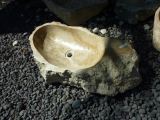 Marble Stone Basin