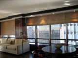 Roman Blind