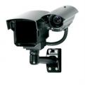 REG-D1 License Plate Cameras
