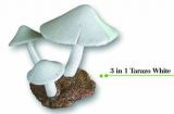3 in 1 Taraza White 