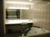 Hotel Toilet