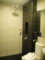 Hotel Toilet