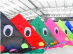 Colourful Rays