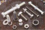 Bolt & Nut