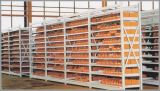 Medium Duty Rack