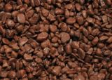AS-COFFEE#10/#5