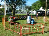 ConvEX USM 2012