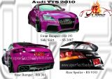 Audit TTS 2010
