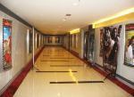 LFS Cinemas Sdn Bhd - Kuala Selangor