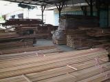 Spin Timber